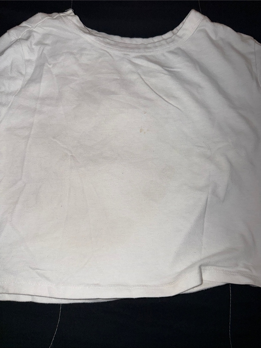 wild fable White Crop Top
